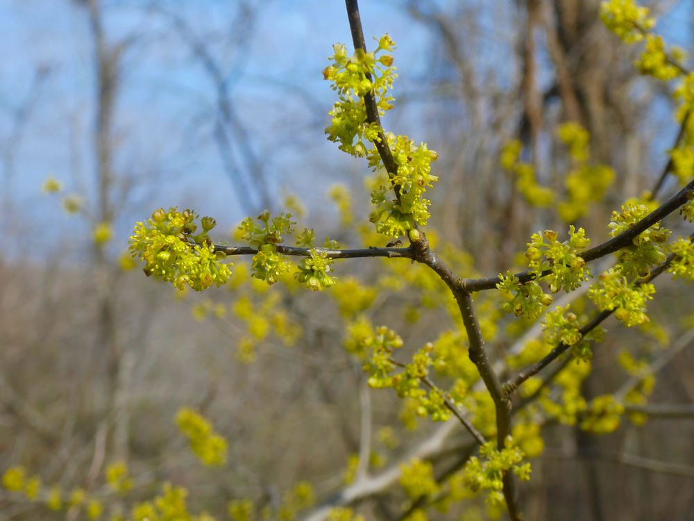 Vision Wealth Partners