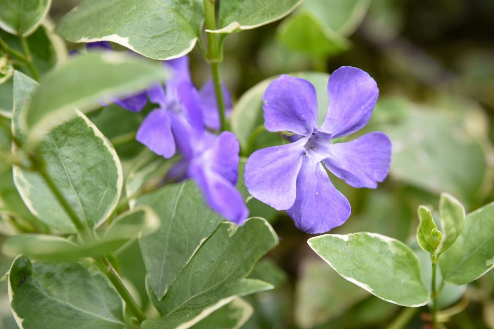 Vision Wealth Partners