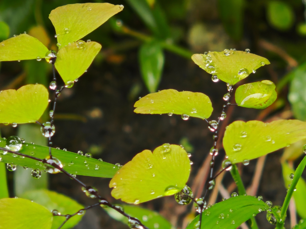 Vision Wealth Partners